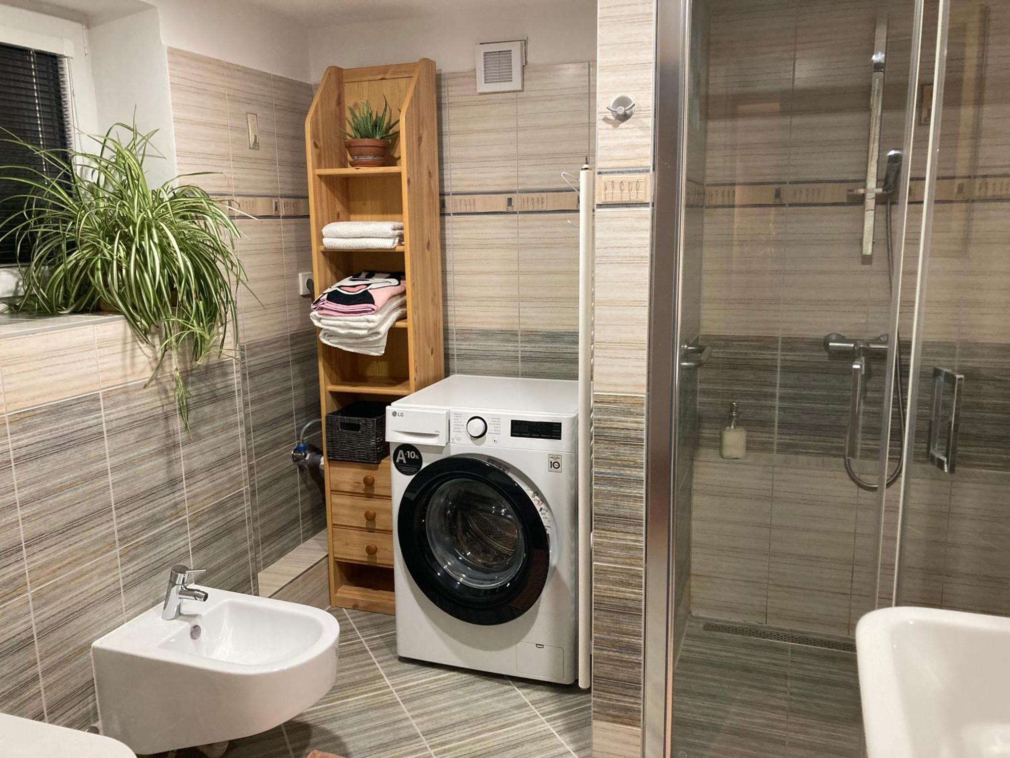 Apartman Viktoria チェスキー クルムロフ エクステリア 写真